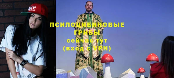 меф Алексин