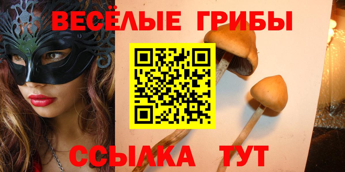 Старый Оскол  Псилоцибиновые грибы прущие грибы  Вход с VPN 