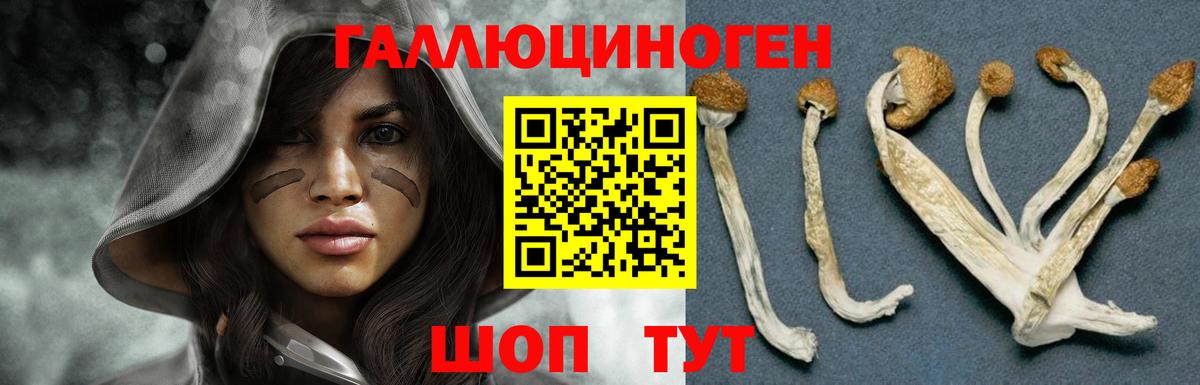 Псилоцибиновые грибы мухоморы Старый Оскол